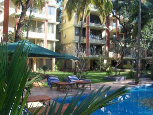 Club X Палолем