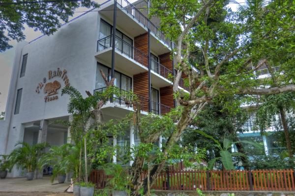 Rain Tree by Oak Ray