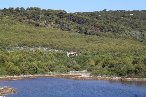 Secluded holiday house Cove Jaz - Telascica, Dugi otok - 8176, Забронировать Апартаменты/квартира Сали 