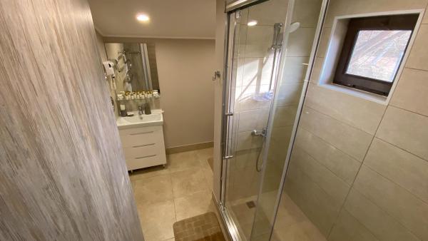 Отель Каштан