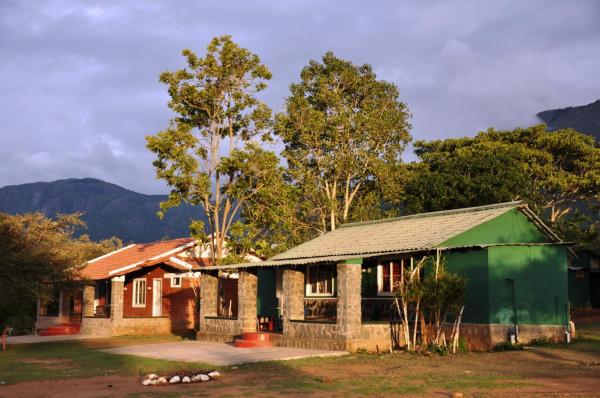 Kings Wild Retreat