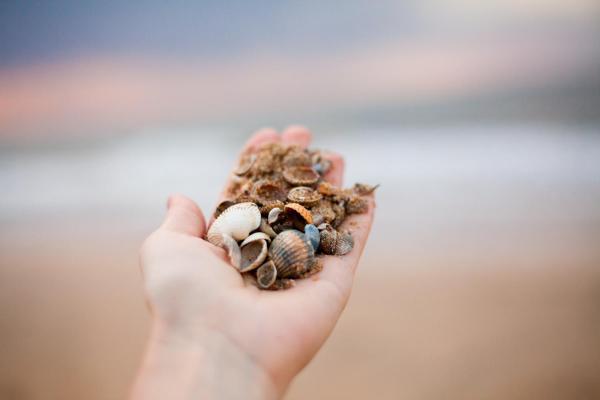 Отель Чайка