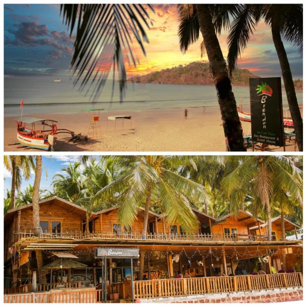 Brendon The Cool Place Палолем