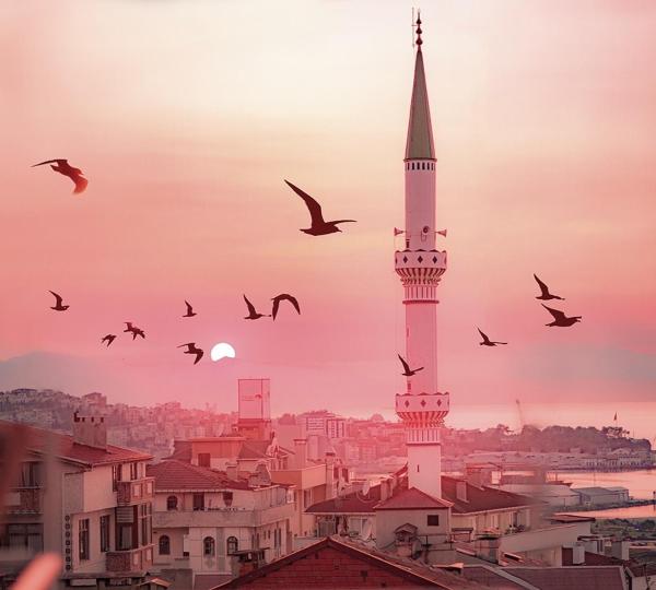 Hale Abla Apart Evleri Трабзон