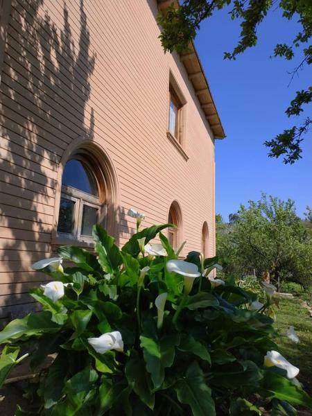 Сибиряк Цхалтубо