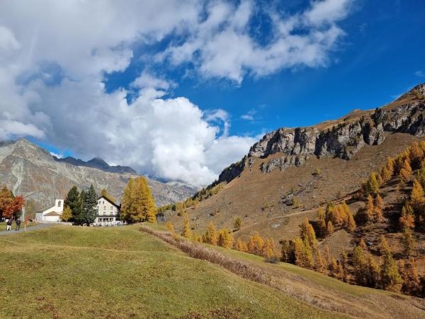 Hotel Sonne Fex Alpine Hideaway Зильс-Мария