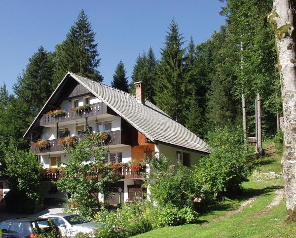 Accommodation Destina, LAKE BOHINJ, Забронировать Проживание в семье Рибчев-Лаз Бохинь