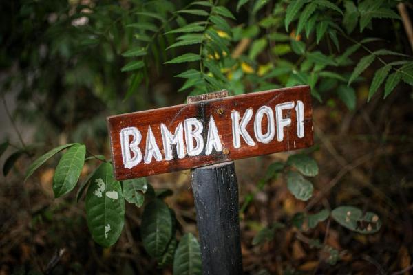 Bamba Kofi Beach Lodge