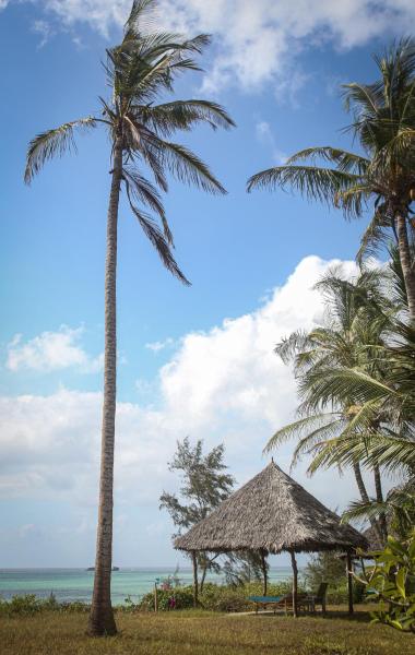 Bamba Kofi Beach Lodge