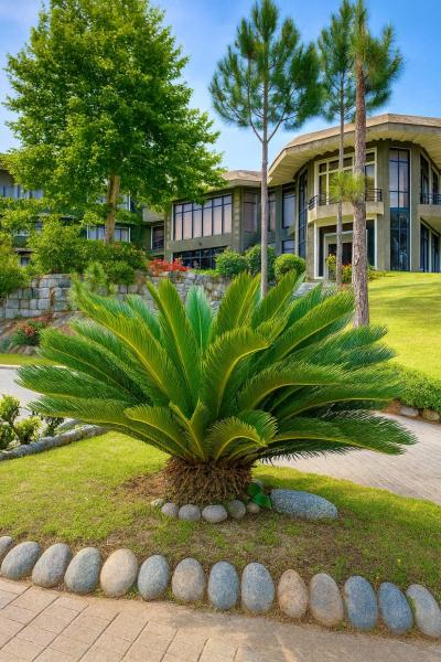 Rock City Resort