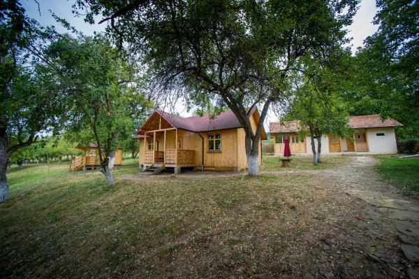 Jugendzentrum Seligstadt, Забронировать Хостел Селишта Брашов