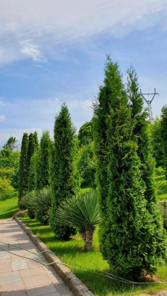 Guest House Ijevan\s Garden