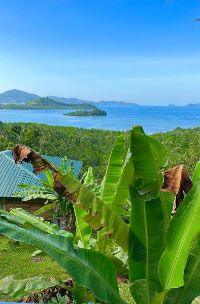 Green Hill Restaurant & Cottages, Забронировать Комплекс для отдыха Сан-Висенте Puerto Princesa City