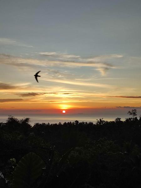 Hidden Valley, Забронировать Лодж Недорогие отели Siquijor Island, недорогие