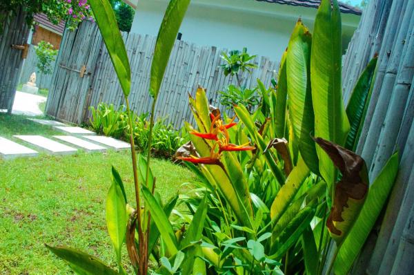 Villa Samalas Resort and Restaurant