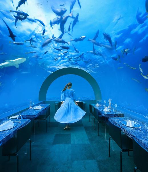 You & Me Maldives - Adults Only - Premium All-Inclusive
