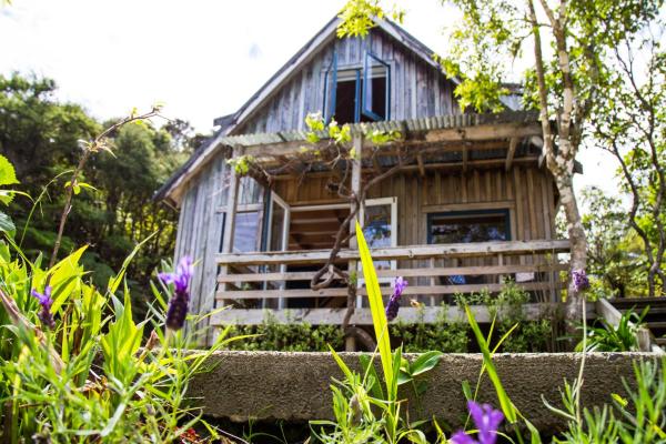 Fern Lodge