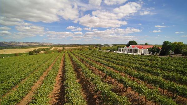 1837 Barossa Luxury Vineyard Cottages, Забронировать Дом для отпуска Линдок 
