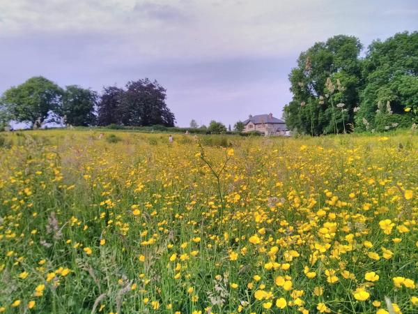 Castletownmoor Clinic & Permaculture Farm, Забронировать Гостевой дом Келс Мит
