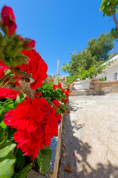 Flower Vila, Забронировать Апартаменты/квартира Апартаменты Саранда, Апартаменты/квартира