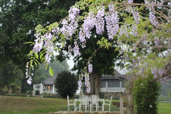 Newstead Farm - Country Cottages, Забронировать Проживание в семье Карриз-Пост Lions River