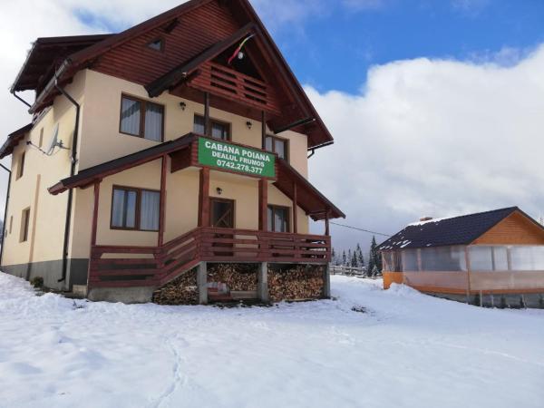 Cabana Poiana Dealul Frumos, 预订 山林小屋 Hănăşeşti 阿尔巴县
