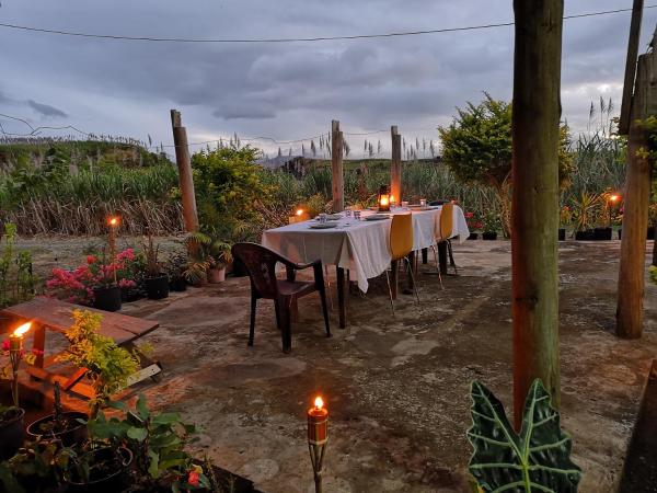 Mountain Oasis Farm Stay