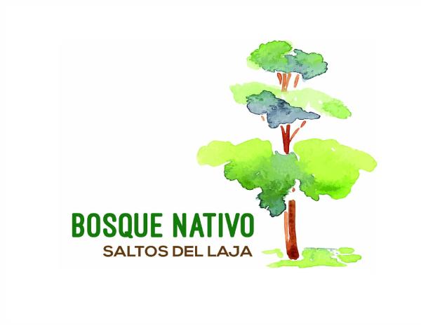 Bosque Nativo