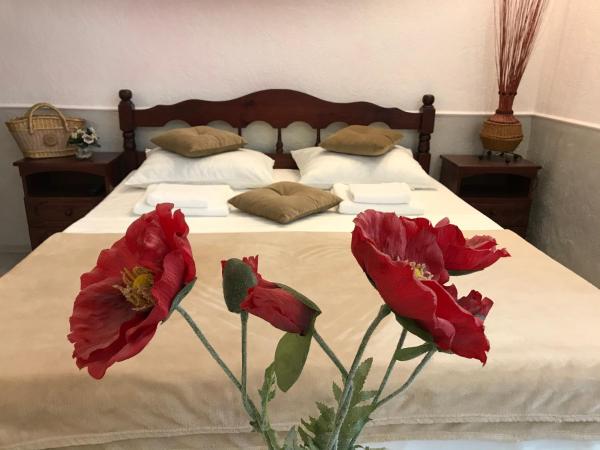 Visteriya Guest House