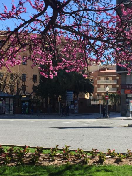 Hotel Cosmos Tarragona