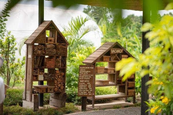 Green Me Organic Farm Khao Yai กรีนมี ออแกนิคฟาร์ม เขาใหญ่