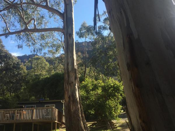 Grampians Nest, Забронировать Лодж Холс-Гэп Grampians