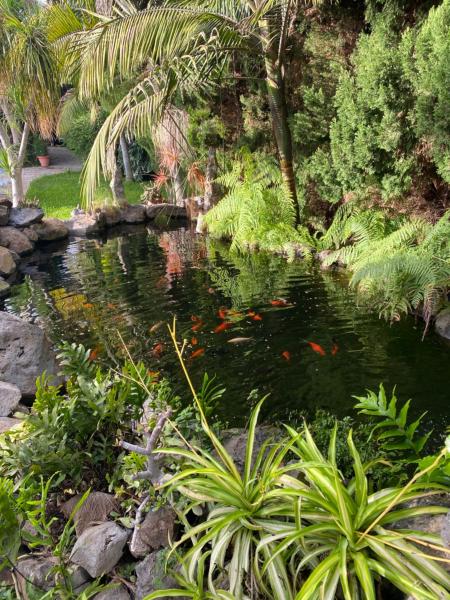 El Time, Забронировать Дом для отпуска Виллы Тихарафе, Вилла