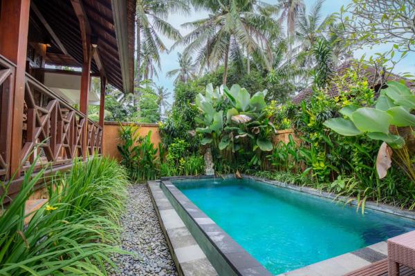 Green Zone Ubud Villas, Забронировать Отель Отели Убуд с бассейном, Бассейн