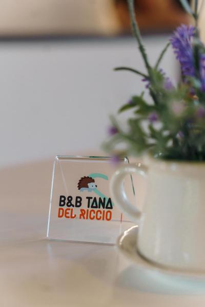Tana del Riccio