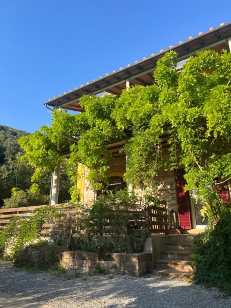 B&B La Fucinaia Pet Friendly Adults only, Забронировать Отель «постель и завтрак» Отели Кампилья-Мариттима с завтраком, Завтраки