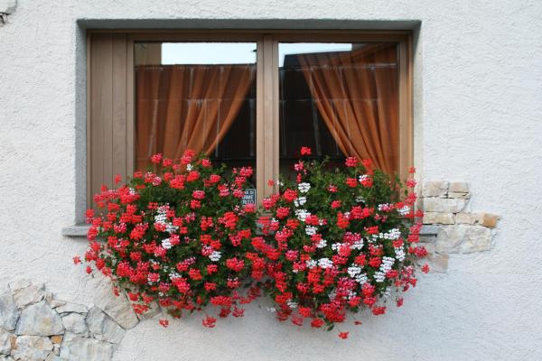 Residence Elga