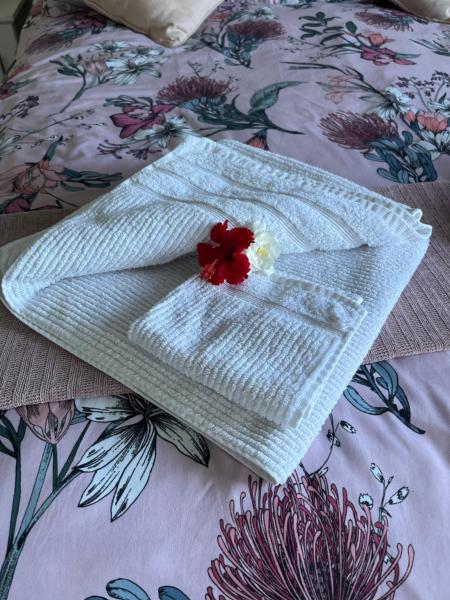 Robyn's Nest - Bed and Breakfast