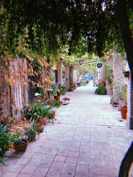 Molino la Tebaida