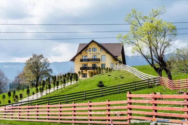 Pension Creasta de Vis, Забронировать Гостевой дом Гостевые дома Брашова, Гостевой дом