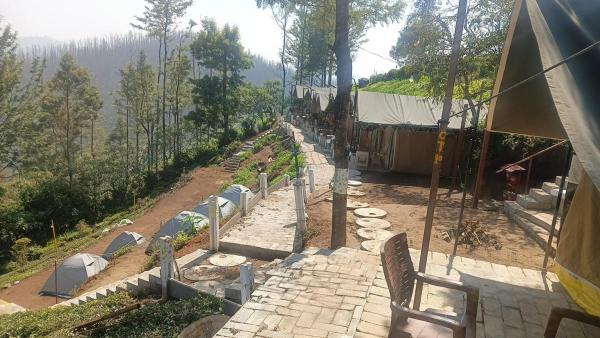 Janardan Campsite Ooty