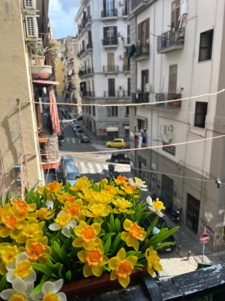 Rifugio nel cuore di Napoli