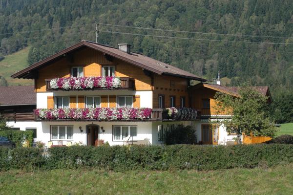 Haus Dachstein Schnitzer