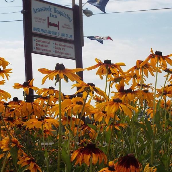 Aroostook Hospitality Inn - Washburn