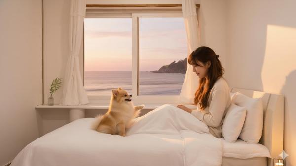 Goseong Jajackdo Aroma Pension