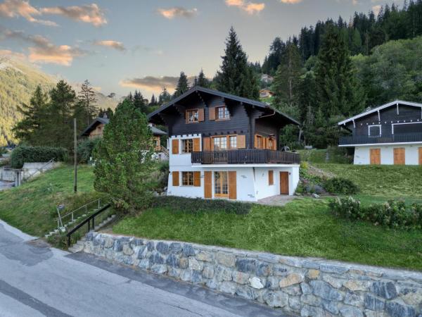 Chalet La Dame Blanche Perfect Family retreat