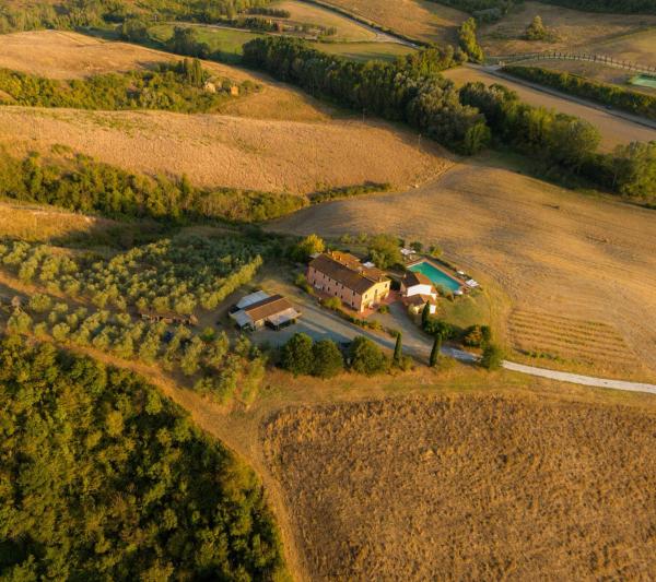 Antonella House -Podere della Collina