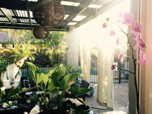 Avon Lodge Bribie Island