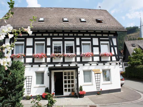 Ferienhaus Haus am Medebach