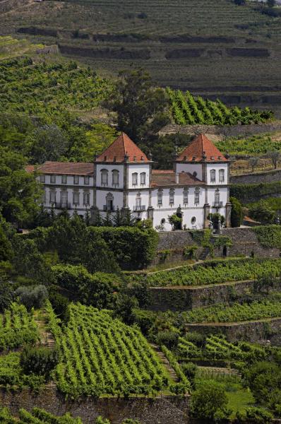 Casa das Torres de Oliveira